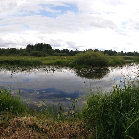 Stuga Vad Vatten Åsarp Extérieur photo
